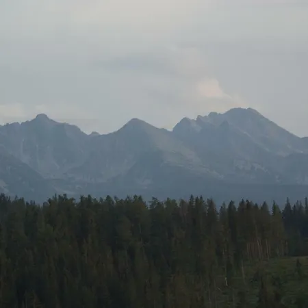 Homestay Goscinne Bukowina Tatrzanska